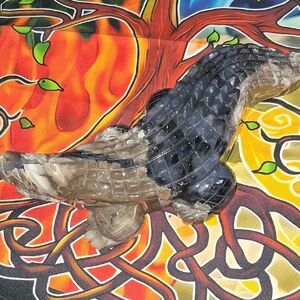 Black and Tan Volcano Agate Alligator